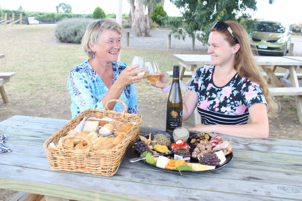 Gourment Picnic Family friendly Askerne Winery Hawkes Bay New Zealand