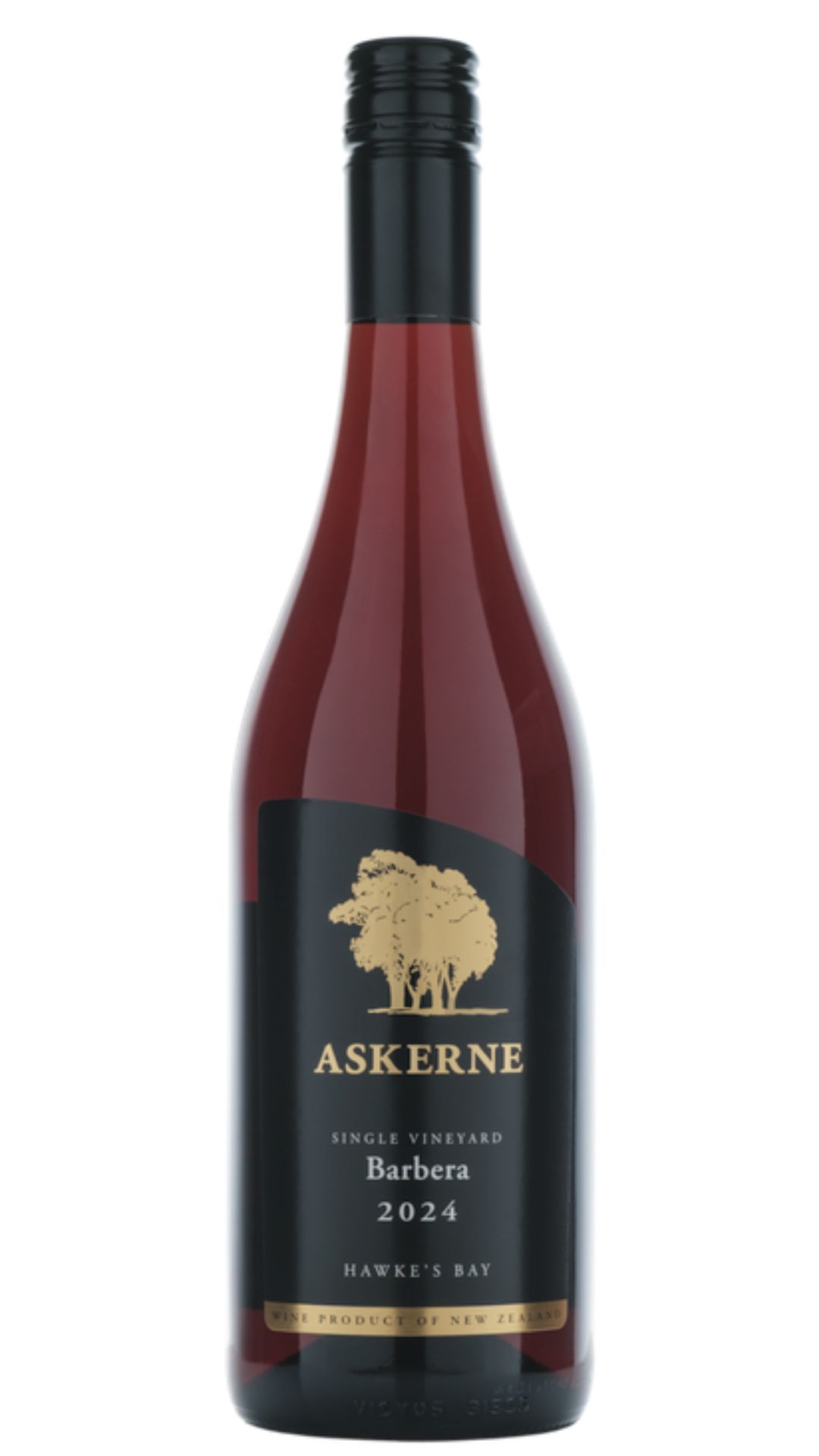 2024 Barbera
